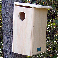 Squirrel Houses
